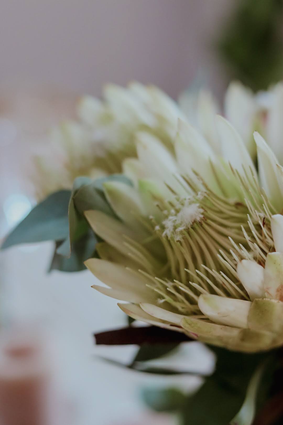 Venue Oaón Gallery Image